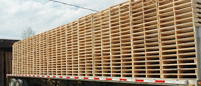 BalletGo dịch vụ cho thuê pallet gỗ các loại